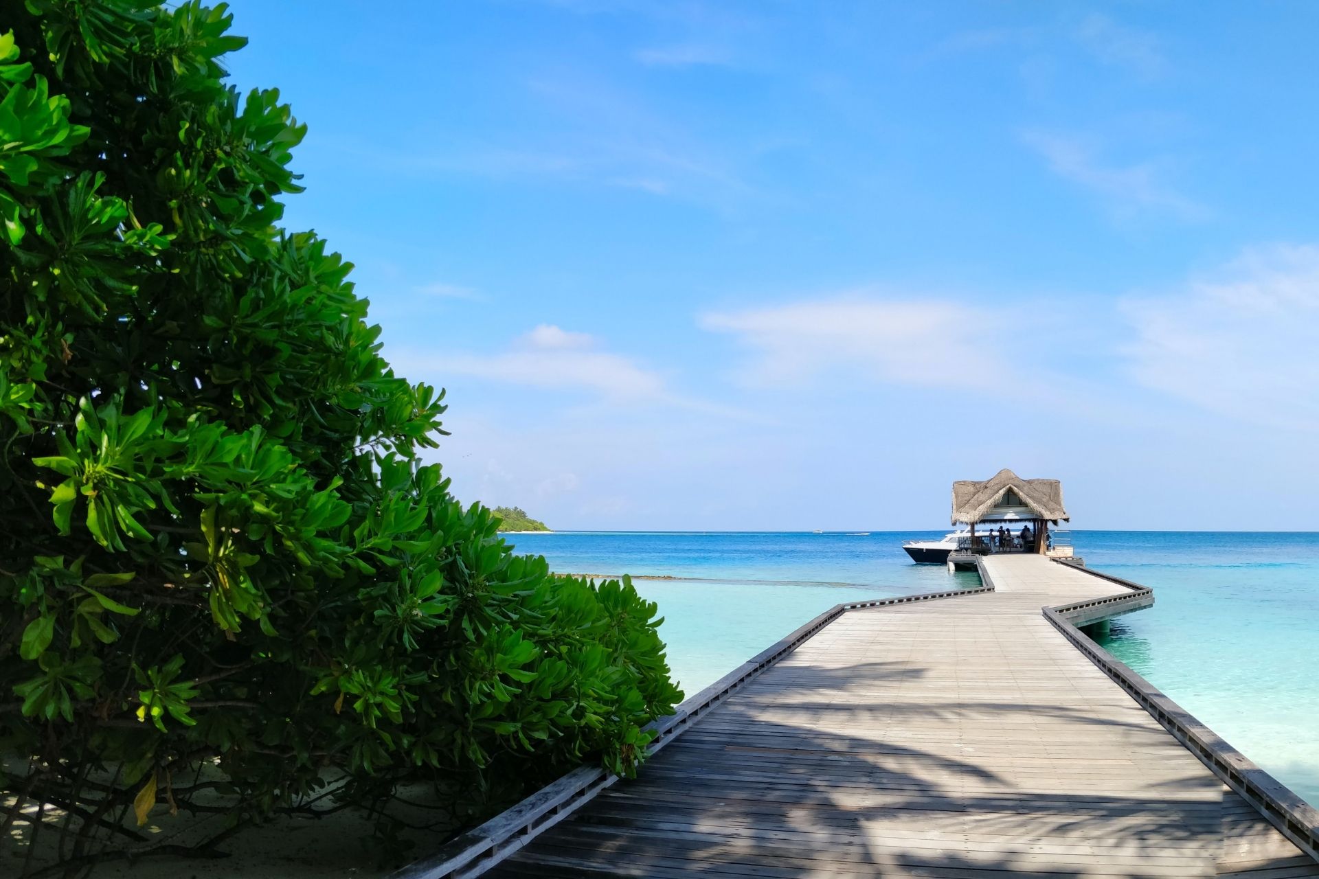 maldives travel requirements from india